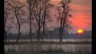 Weerbericht dinsdag Vrij zonnig [upl. by Risa940]