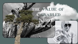 The Value of a Gnarled Tree Taoist Perspective [upl. by Elinad794]