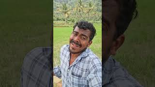 tamiltrending music singer spbalasubramanian ilayarajasongs ownvoice [upl. by Kennan]