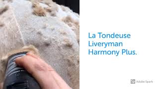 Tondeuse Liveryman HARMONY PLUS [upl. by Arlynne]