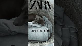 Zara models be like… [upl. by Helgeson84]