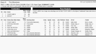 FAST Harness Handicapping  Running StylesRace Types [upl. by Sanyu]