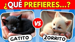 ¿Qué PREFIERES 🐶 Edición ANIMALES 🐸🐼 [upl. by Eachern471]