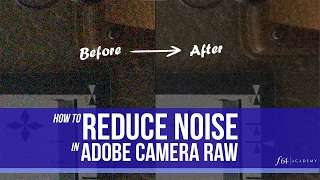 Noise Reduction in Adobe Camera Raw [upl. by Helena]