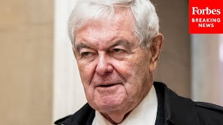 Newt Gingrich US Was Potentially Drifting To A Civil War Before Trump Assassination Attempt [upl. by Namwen865]