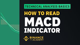 How to Read MACD Indicator ｜Explained For Beginners [upl. by Bamberger]