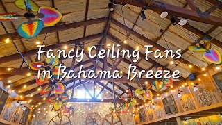 Tropical Ceiling Fans in Bahama Breeze [upl. by Riancho463]