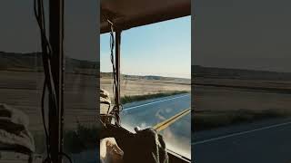 Riding in the Dodge caboveroldtrucks truckcabover [upl. by Krantz]