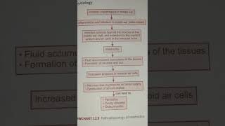 Pathophysiology of mastoiditis   AHN notes [upl. by Lyudmila]