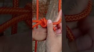 Alpine Butterfly Loop Knot Use short rope knot survivalknots loopknot [upl. by Putnem]