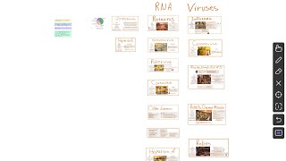 Virology Microbiology Overview  RNA Viruses II [upl. by Nycila891]