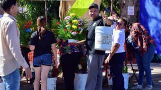 Renuevan ambulantes permisos para venta de flores [upl. by Sitoiganap213]