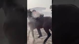 sports Kyrgyzstan 🇰🇬 Kazakhstan Uzbekistan horse [upl. by Eldoria]