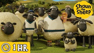 Shaun the Sheep 🐑 Who Is Interrupting The Cricket Match amp MORE 🏏 Full Episodes Compilation [upl. by Areht]