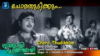 Malayalam video song  Chora thudikkum hridhayangal  Bhoomi devi pushpiniyayi [upl. by Jana833]