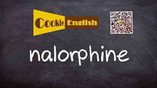 Nalorphine Pronunciation Paraphrase Listen amp Practice [upl. by Aylmer106]