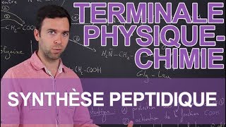 Synthèse peptidique  PhysiqueChimie  Terminale  Les Bons Profs [upl. by Hcirdla]