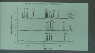 QAI Electroforesis Capilar II [upl. by Itnuahsa]