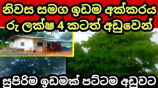 අක්කරයක් ලක්ෂ 4 කටත් වඩා අඩුවට  Cashew land  Land for sale  House for sale  Aduwata idam [upl. by Aiblis]