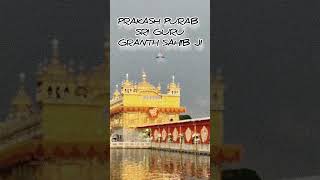 Prakash Purab Sri Guru Granth Sahib ji srigurugranthsahibji gurpurab goldentemple amritsar love [upl. by Brady]