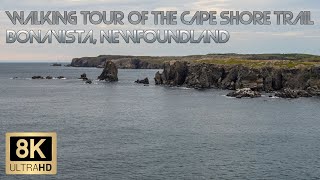 Walking Tour of the Cape Shore Trail in Bonavista Newfoundland adventureschmuck walkingtour [upl. by Noiek]