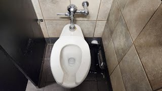 Newer American Standard Madera toilet [upl. by Zwick733]