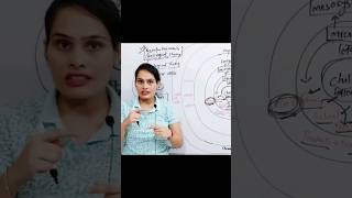 Bronfenbrenners Bioecological System Theory CDP for CTET and HTET by Pramila yaduvanshi [upl. by Joyann]