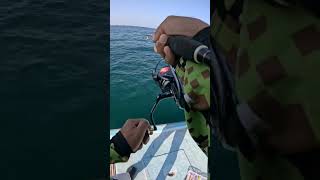 jigging​ jigfishing​ fishinghunting​ fishing​ fish​ fishingoman​ fishkeeping​ fishingoman [upl. by Keyek]