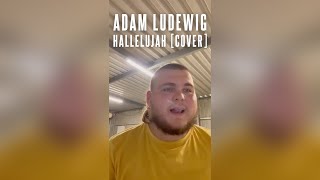 Hallelujah Cover  Adam Ludewig Friday Arvo Sessions [upl. by Akira777]