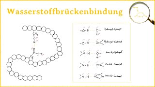 Die Wasserstoffbrückenbindung [upl. by Aicercul]