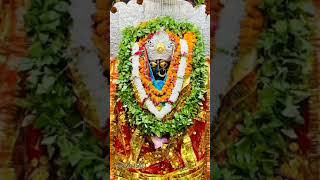 maa brahmani jai Mata di  bhakti  bhajansong balliavideoshortvideo 🙏🙏❤🌹🌹🥀❣🥀🌹🌹🌿🌿🌿🌿❣🙏🙏🙏🙏 [upl. by Rosalyn]