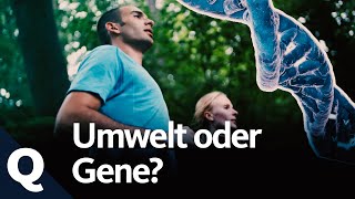 Genregulation So können wir unsere Gene beeinflussen Ganze Folge  Quarks [upl. by Ssitruc]