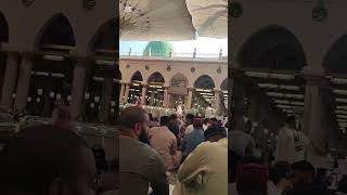 Ma dekhta hi rahu bss tmhry rozy komashaALLAH Masjid e nabvi [upl. by Aleyak]