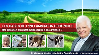 LES BASES DE LINFLAMMATION CHRONIQUE [upl. by Janie]