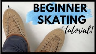 ICE SKATING FOR BEGINNERS Skating Lesson [upl. by Procto]