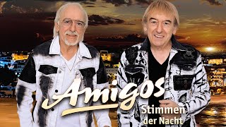 Amigos  Stimmen der Nacht Offizielles Video [upl. by Brace]