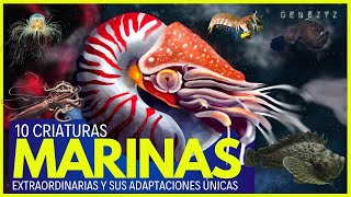 🖖 10 Criaturas Marinas Extraordinarias y sus Adaptaciones Únicas [upl. by Aihsetan296]