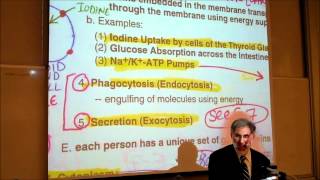 BIOLOGY CYTOLOGY PART 2 by Professor Fink [upl. by Hestia]