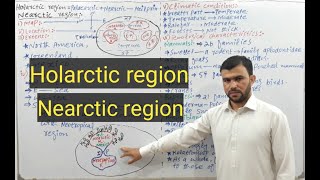 Holarctic  Nearctic region  Zoogeographical realms  Sabar khan lectures [upl. by Ialocin]