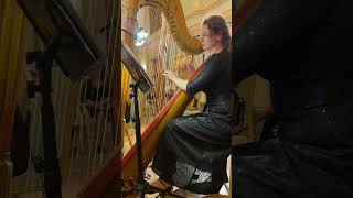 V Kalinnikov  Symphony No 1 harp excerpt harp orchestra symphony classicalmusic russia [upl. by Arat710]