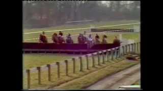 1981 Eider Handicap Chase [upl. by Anuat288]