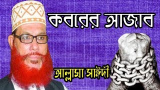 koborer ajab  Allama Delowar Hossaien Saidy  Koborer Jindegi  Waz Mahfil [upl. by Baal]