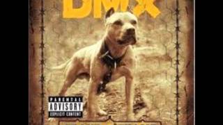 DMX We Go Hard feat CamRon [upl. by Carrelli506]