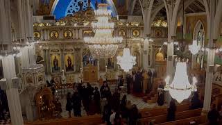 Antiochian Orthodox Christian Archdiocese of North America Live Stream [upl. by Nyrroc]