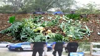 Anonymous  Texas SWAT team destroys organic farm during raid [upl. by Loree]