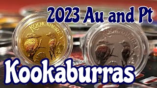 Gold and Platinum Kookaburras and THANK YOU Auragentum [upl. by Ileana]