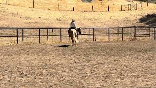 Nicole Smith  Dutton Ultimate Ranch Challenge WalkTrot Ranch Riding OCTOBER [upl. by Ahsieki]