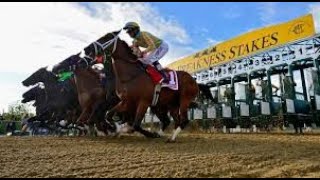 Muth Scratched 2024 Preakness Stakes  Whos Going to Win Now [upl. by Anegal]