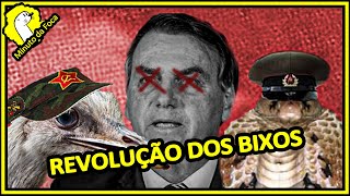 NAJA PICA EMA BICA É A REVOLUÇÃO DOS BICHOS  PM DE DORIA MATA MAIS  BOLSONARO É BICADO MF 152 [upl. by Beebe]