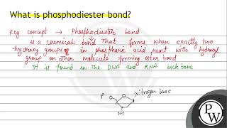 What is phosphodiester bond [upl. by Ehcar]